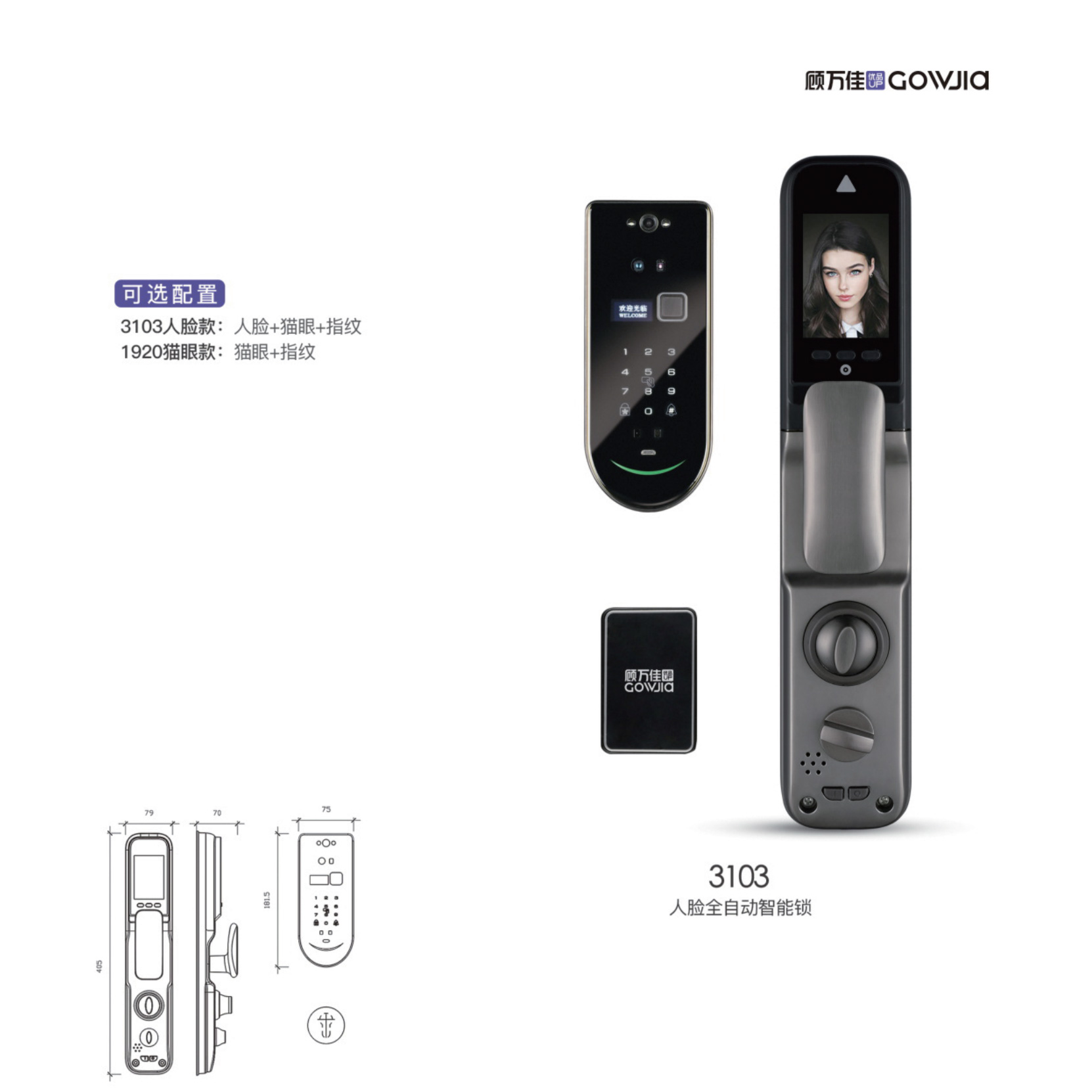 人脸全自动智能锁3103